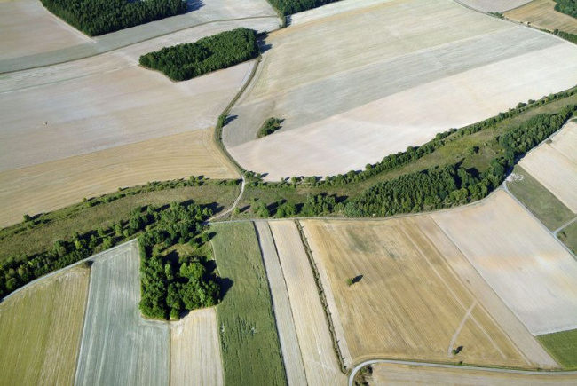 © BN - (Foto: Klaus Leidorf) Bild zum Eintrag (1013896-160)
