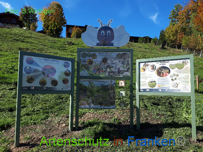 © Artenschutz in Franken® Bild zum Eintrag (1013901-160)