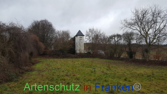 © Artenschutz in Franken® Bild zum Eintrag (1013905-160)