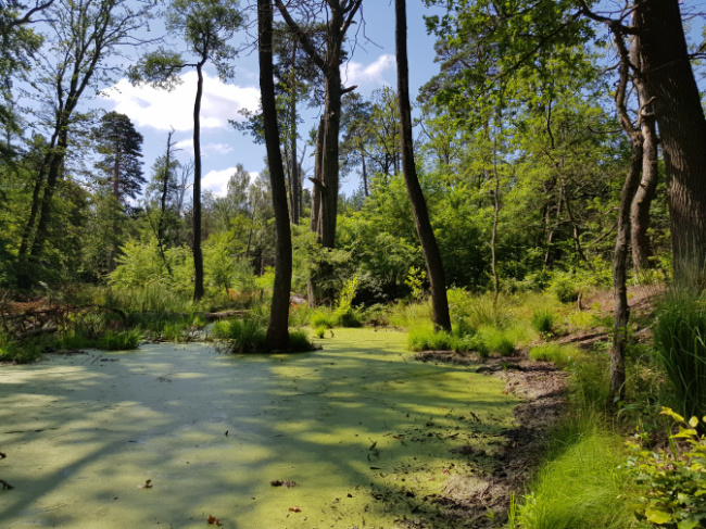 © Katja Behrendt (DBU) Bild zum Eintrag (1013961-160)