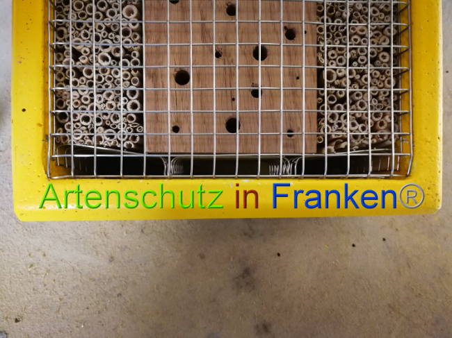© Artenschutz in Franken® Bild zum Eintrag (1014019-160)