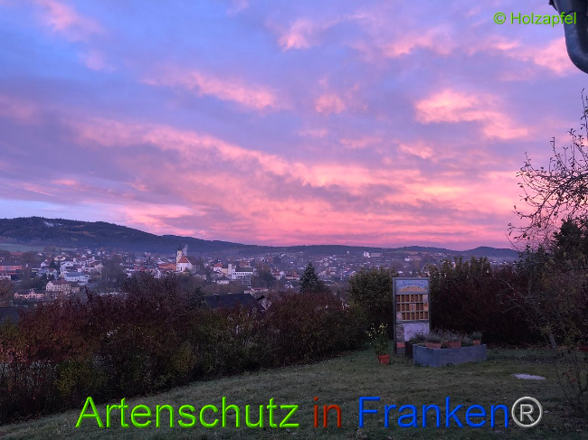 © Artenschutz in Franken® Bild zum Eintrag (1014965-160)
