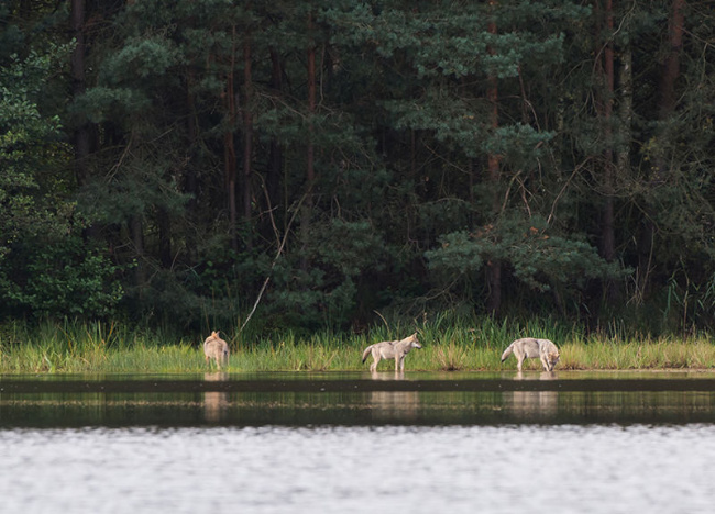 © (Foto: Heiko Anders) Bild zum Eintrag (1015243-160)