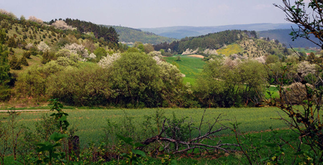 © (© Anya Wichelhaus) Bild zum Eintrag (1015610-160)