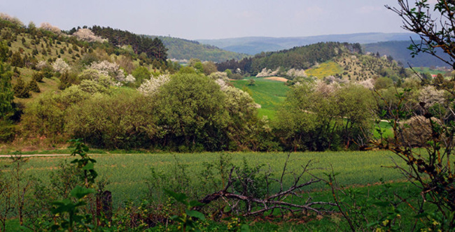 Bild zum Eintrag (1015610-160)