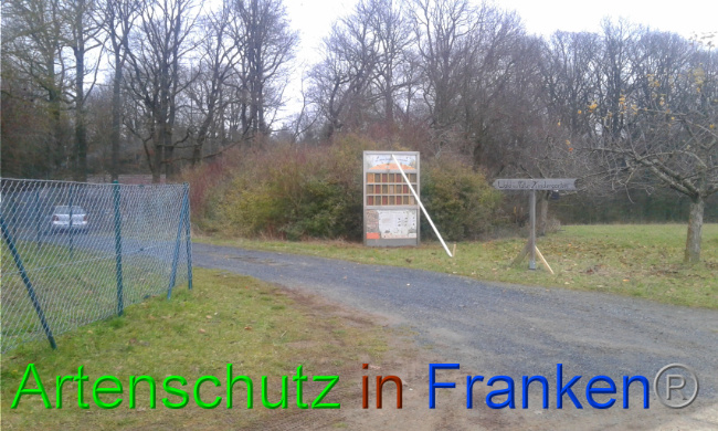 Bild zum Eintrag (1016006-160)