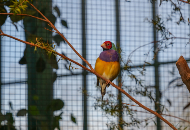 © Foto: Wilhelma Stuttgart Bild zum Eintrag (1016858-160)