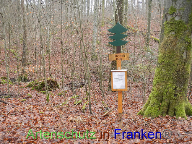 © Artenschutz in Franken® Bild zum Eintrag (1017952-160)