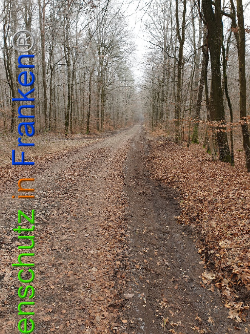 © Artenschutz in Franken® Bild zum Eintrag (1018052-160)