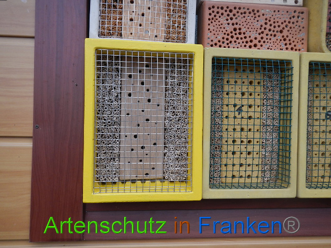 © Artenschutz in Franken® Bild zum Eintrag (1018258-160)