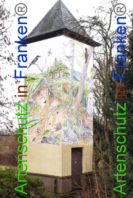 © Artenschutz in Franken® Bild zum Eintrag (1018349-160)