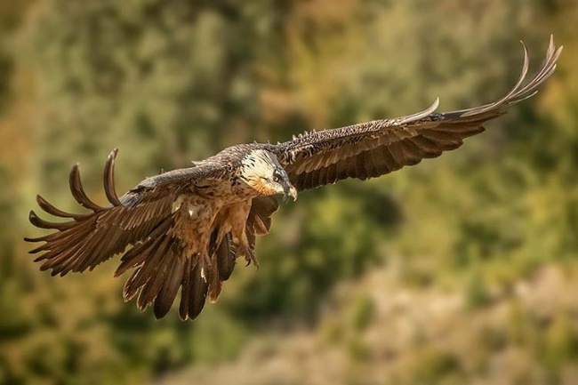 © (Credit: Fernando Sanchez/Shutterstock.com): Bild zum Eintrag (1018722-160)