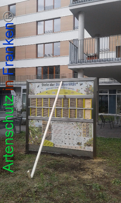 © Artenschutz in Franken® Bild zum Eintrag (1019501-160)
