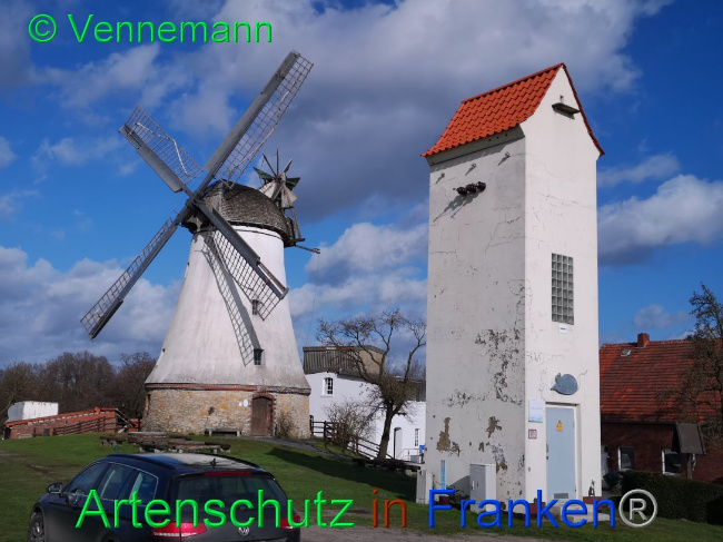 © Artenschutz in Franken® Bild zum Eintrag (1019630-160)