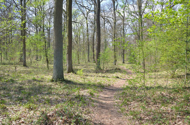 © (Foto: Anke Höltermann) Bild zum Eintrag (1019645-160)