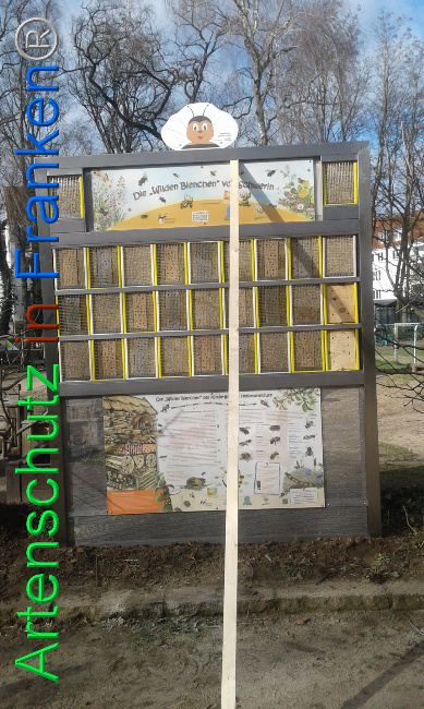 © Artenschutz in Franken® Bild zum Eintrag (1019649-160)