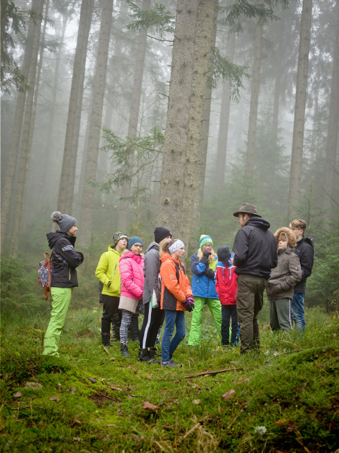 © (Foto: Daniela Blöchinger/Nationalpark Bayerischer Wald) Bild zum Eintrag (1019949-160)