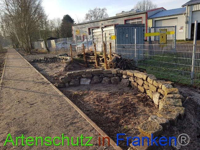 © Artenschutz in Franken® Sonfeld Bild zum Eintrag (1020312-160)