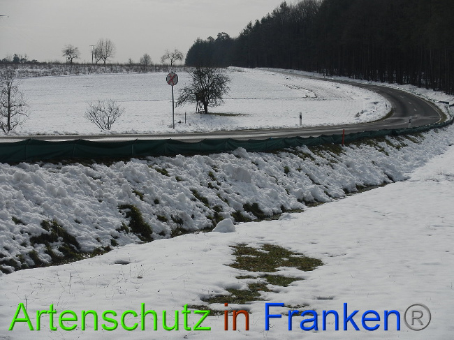 © Artenschutz in Franken® Bild zum Eintrag (1020318-160)