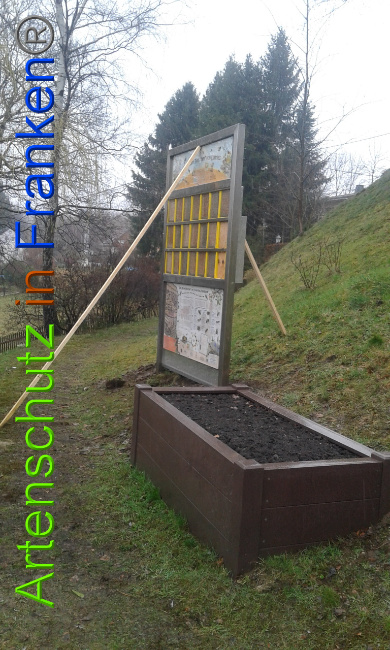 © Artenschutz in Franken® Bild zum Eintrag (1020703-160)