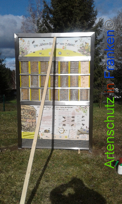 © Artenschutz in Franken® Bild zum Eintrag (1020766-160)