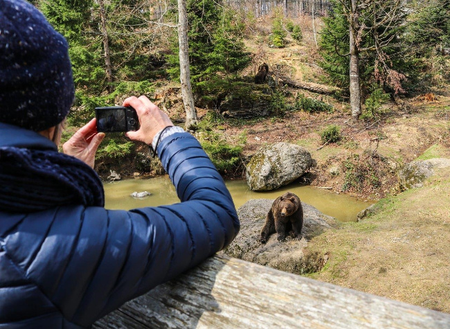 © Foto: Annette Nigl / Nationalpark Bayerischer Wald Bild zum Eintrag (1020916-160)