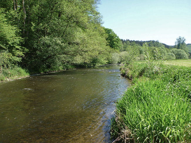 © (Foto: Roman Hugo) Bild zum Eintrag (1020944-160)