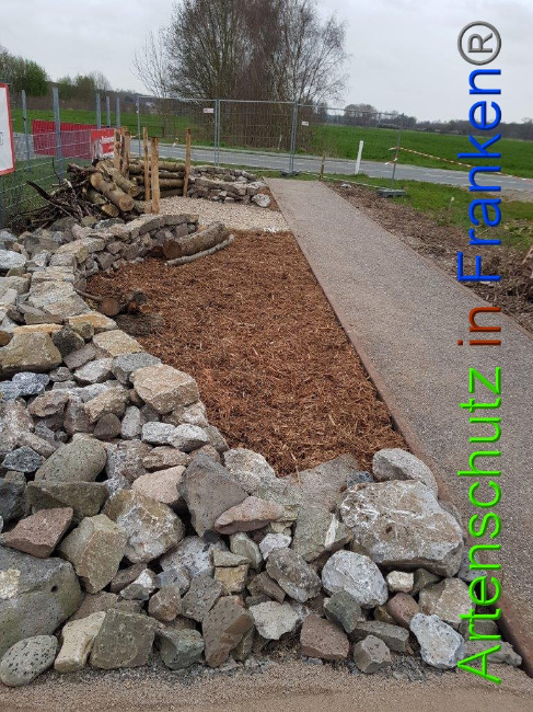 © Artenschutz in Franken® Sonfeld Bild zum Eintrag (1021199-160)