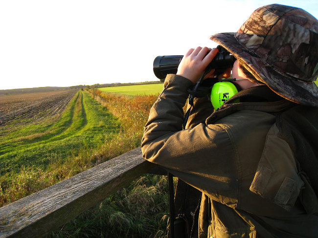 © Max Kühn/piclease Bild zum Eintrag (1021220-160)