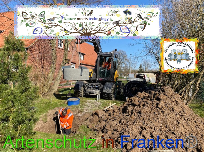 © Artenschutz in Franken® Bild zum Eintrag (1021395-160)