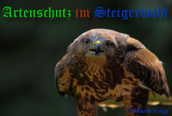 © Artenschutz in Franken® / Mario Voigt Bild zum Eintrag (1022211-160)