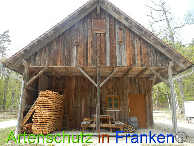 © Artenschutz in Franken® Bild zum Eintrag (1022900-160)