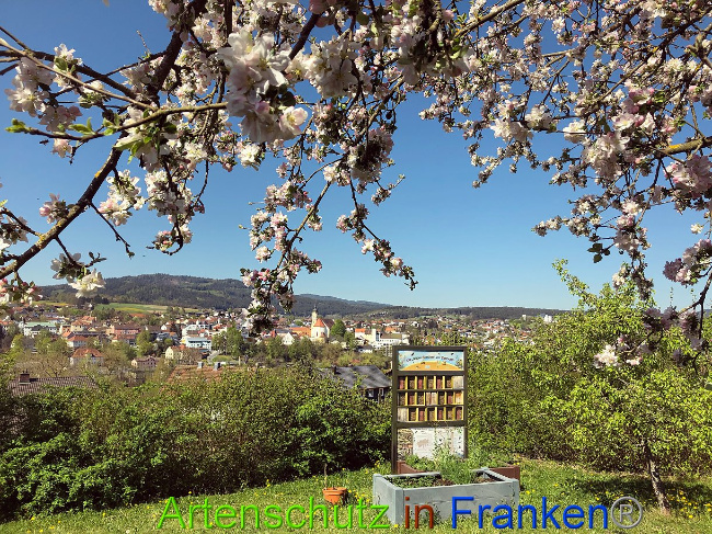 © Artenschutz in Franken® / Weishäupl Bild zum Eintrag (1023210-160)