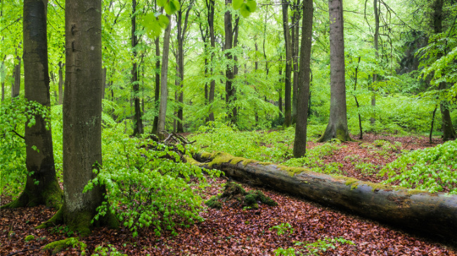 © NABU/Sebastian Sczepanski Bild zum Eintrag (1023216-160)