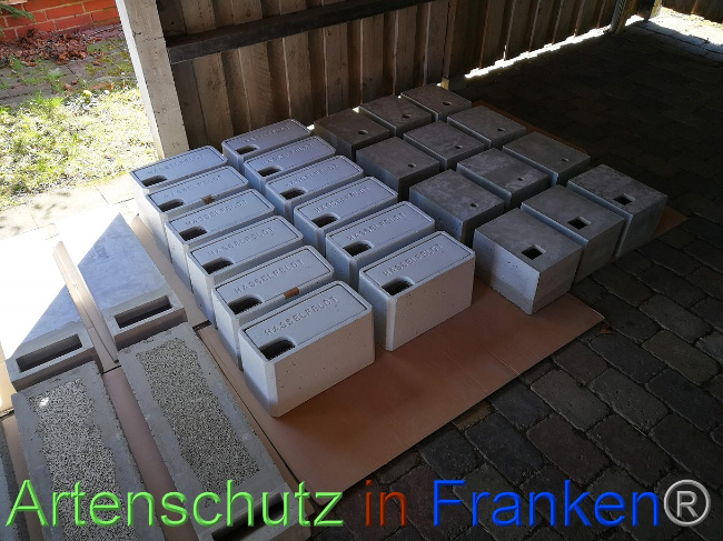 © Artenschutz in Franken® Bild zum Eintrag (1023364-160)