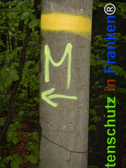 © Artenschutz in Franken® Bild zum Eintrag (1023605-160)