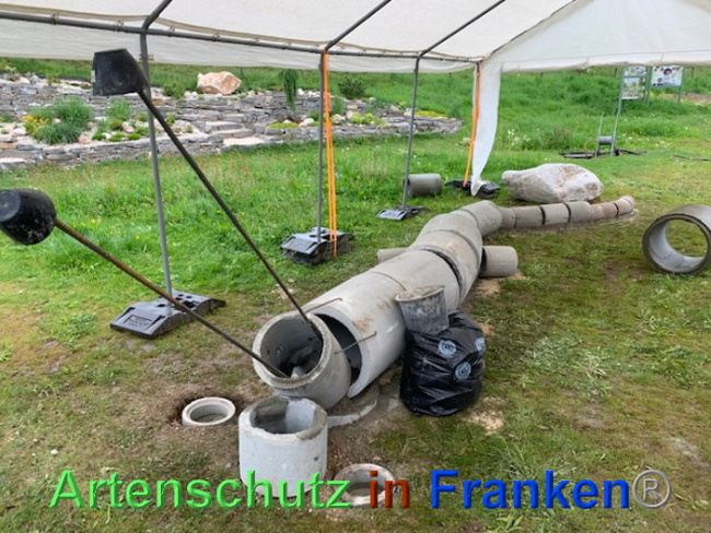 © Artenschutz in Franken® Bild zum Eintrag (1023680-160)