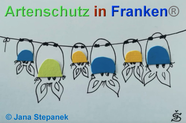 © Artenschutz in Franken® / Jana Stepanek Bild zum Eintrag (1023899-160)