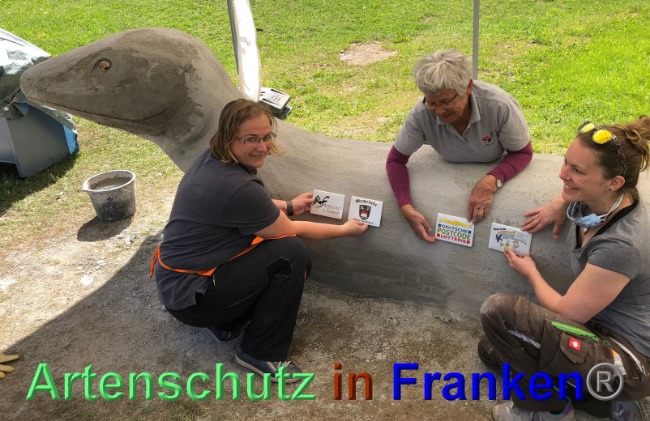 © Artenschutz in Franken® Bild zum Eintrag (1024214-160)