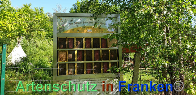 © Artenschutz in Franken® / Komes Bild zum Eintrag (1024228-160)