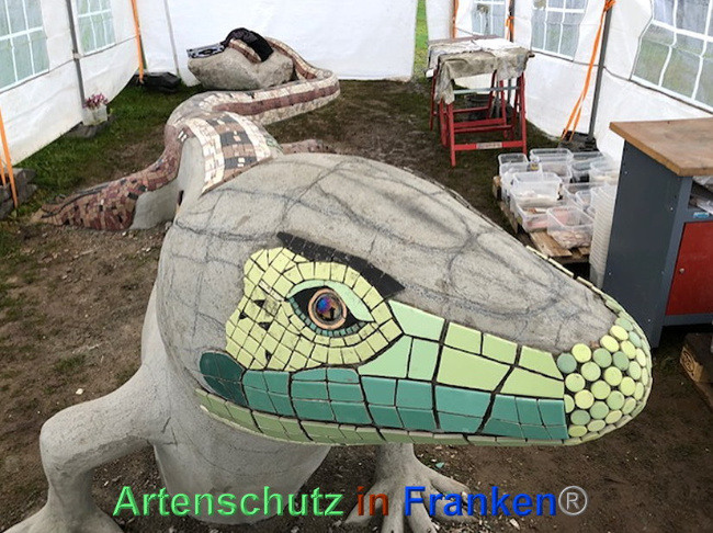 © Artenschutz in Franken® / Krautwurst Bild zum Eintrag (1024536-160)