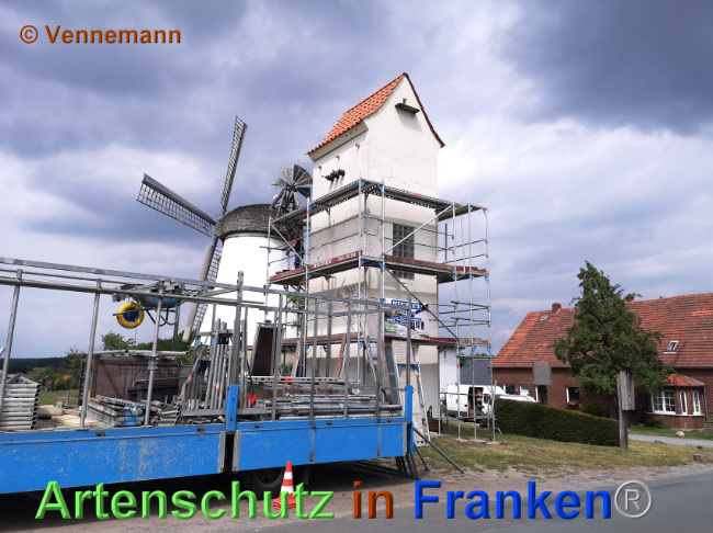 © Artenschutz in Franken® / Vennemann Bild zum Eintrag (1024786-160)