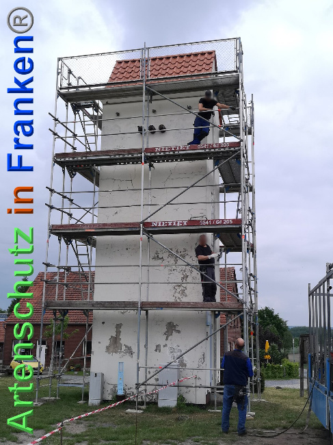 © Artenschutz in Franken® Bild zum Eintrag (1025239-160)