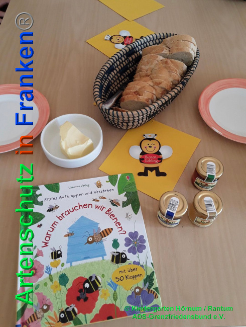© Artenschutz in Franken® © Kindergarten Hörnum / Rantum ADS-Grenzfriedensbund e.V. Bild zum Eintrag (1025299-160)
