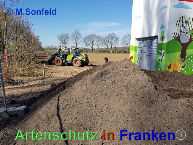 © Artenschutz in Franken® / M.Sonfeld Bild zum Eintrag (1025317-160)