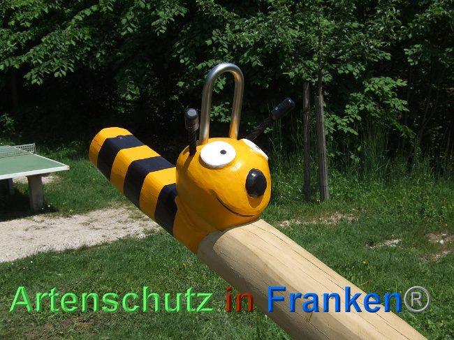 © Artenschutz in Franken® / Mehrtens Bild zum Eintrag (1025523-160)