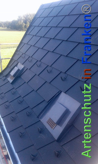 © Artenschutz in Franken® Bild zum Eintrag (1025650-160)