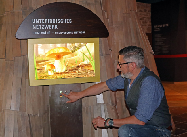 © (Foto: Annette Nigl /Nationalpark Bayerischer Wald) Bild zum Eintrag (1025665-160)