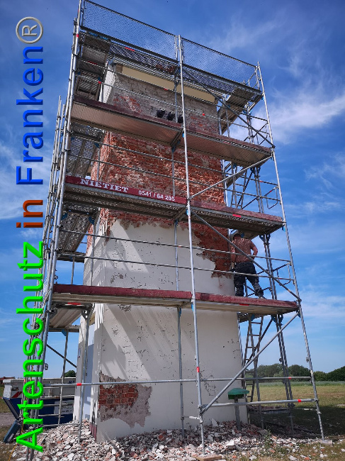 © Artenschutz in Franken® / Vennemann Bild zum Eintrag (1025945-160)