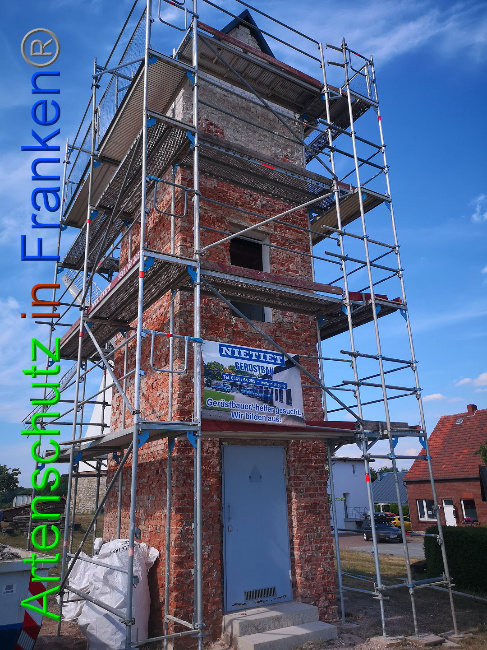 © Artenschutz in Franken® / Vennemann Bild zum Eintrag (1026115-160)